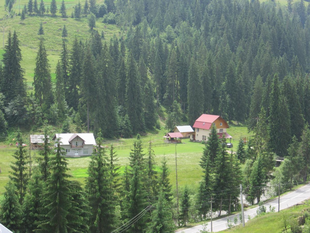 Cabana Georgiana Arieşeni Exterior foto